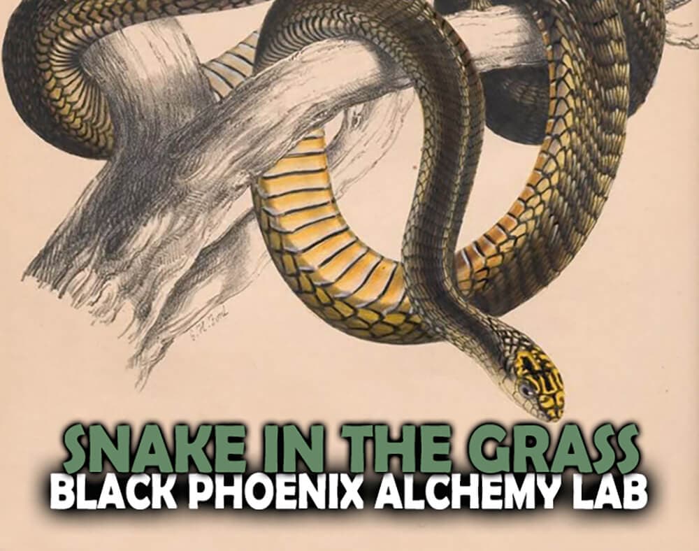 Snake in the Grass Perfume Bottle