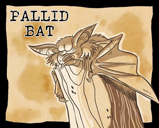 Pallid Bat Perfume Bottle