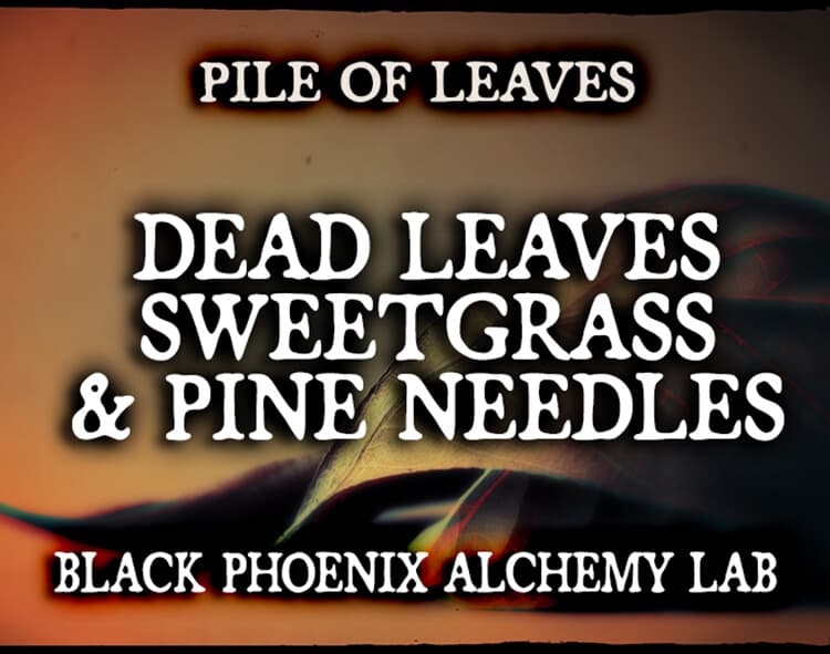 Dead Leaves, Sweetgrass, and Pine Needles Perfume Bottle