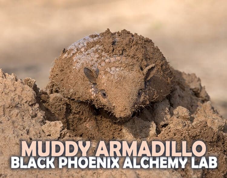 Muddy Armadillo Perfume Bottle