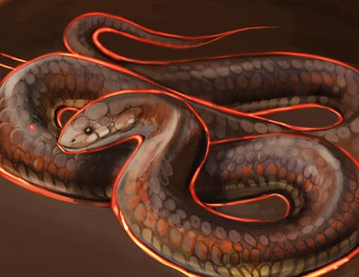 Australian Copperhead Perfume Bottle