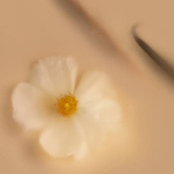Chai Fleur Perfume Bottle
