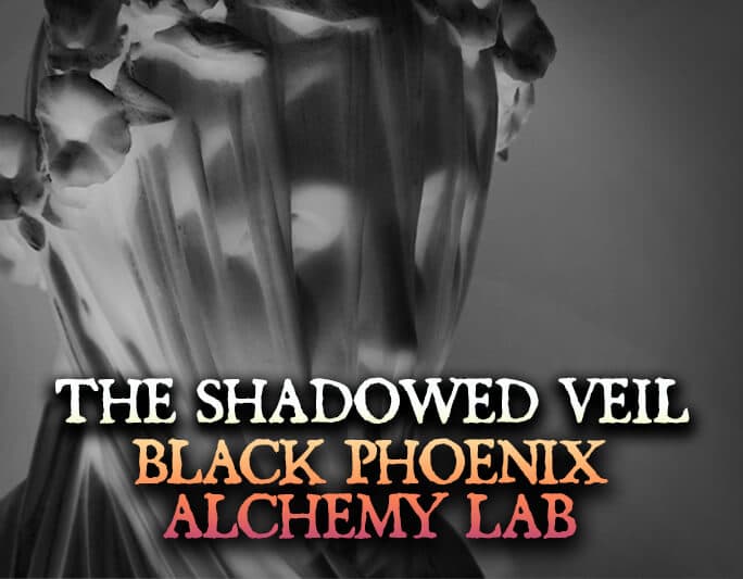 The Shadowed Veil Perfume Bottle
