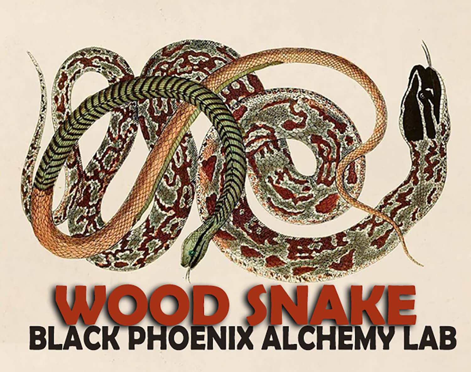 Wood Snake Perfume Bottle