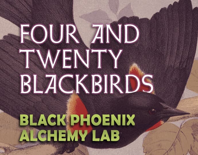 Four and Twenty Blackbirds Perfume Bottle