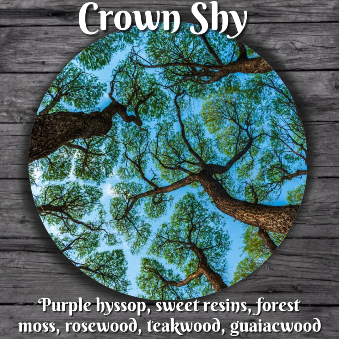 Crown Shy Perfume Bottle