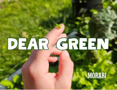 Dear Green - Clover, Chlorophyll, Hops Flower, Tomato Leaf, Galbanum Perfume Bottle