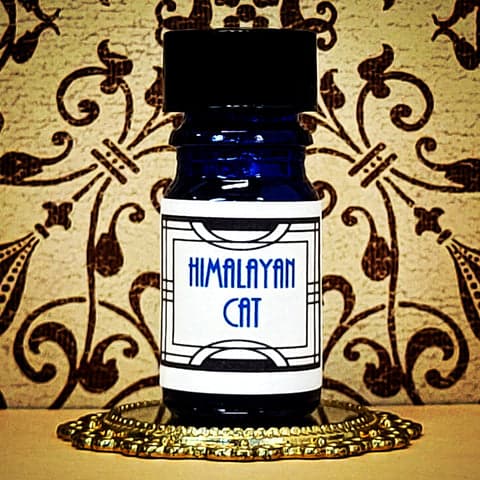 Himalayan Cat by Nui Cobalt Designs