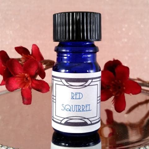 Red Squirrel by Nui Cobalt Designs