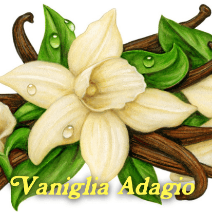 Vaniglia Adagio by Pulp Fragrance
