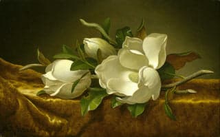 Magnolia Au Vert by Alkemia Perfumes