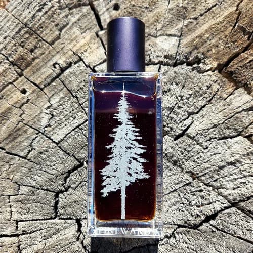 Nocturnis by Pineward Perfumes