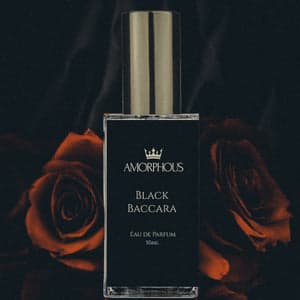 Black Baccara by Amorphous Perfume