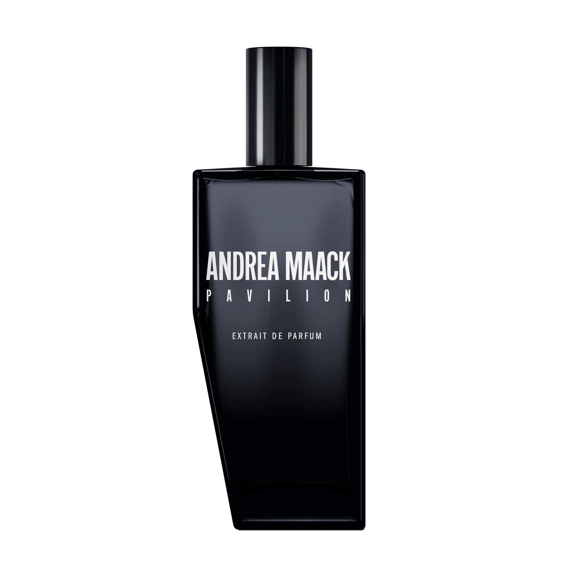 Pavilion Extract by Andrea Maack