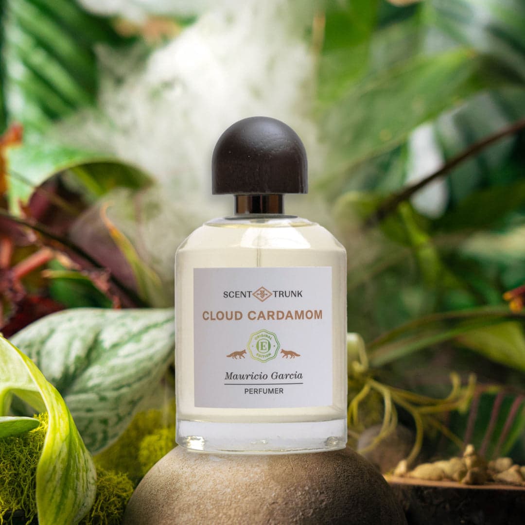 Cloud Cardamom by Scent Trunk