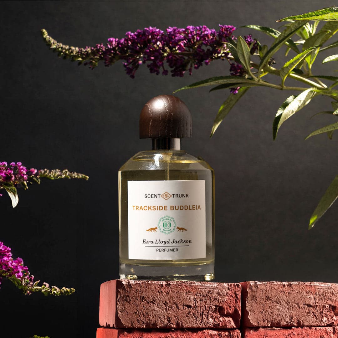 Trackside Buddleia by Scent Trunk