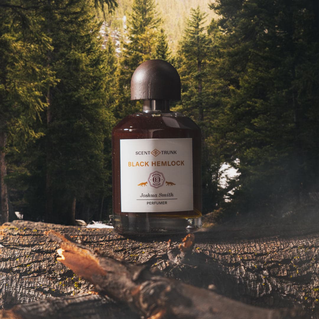 Black Hemlock by Scent Trunk
