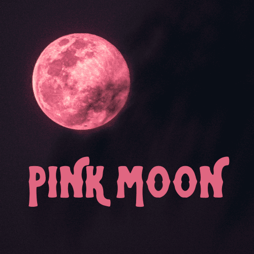 Pink Moon - Black Hearted Tart Perfume Bottle
