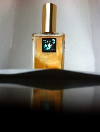 Bois Du Chocolat by DSH Perfumes