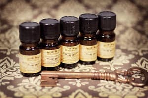 Doll Parts - Debaucherous Alchemy by Debaucherous Alchemy