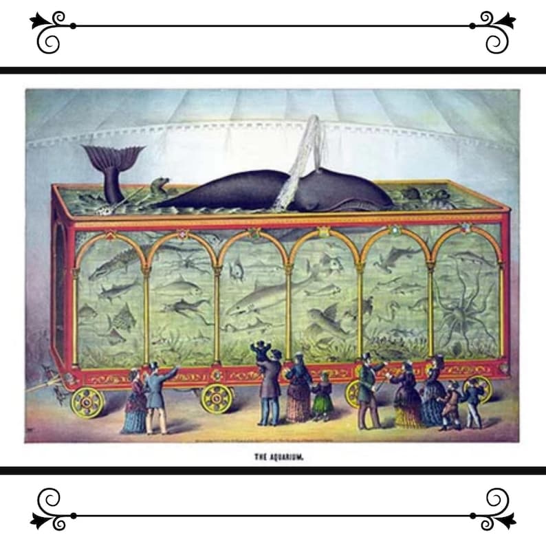 Release The Caged Wail Perfume Bottle