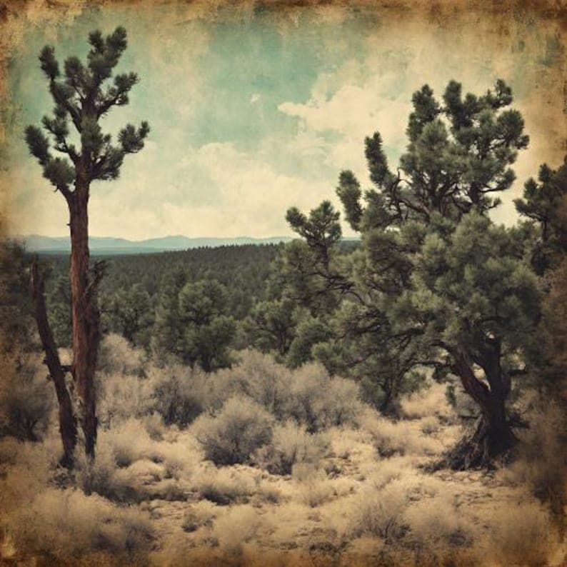 New Mexico Trails Perfume Bottle