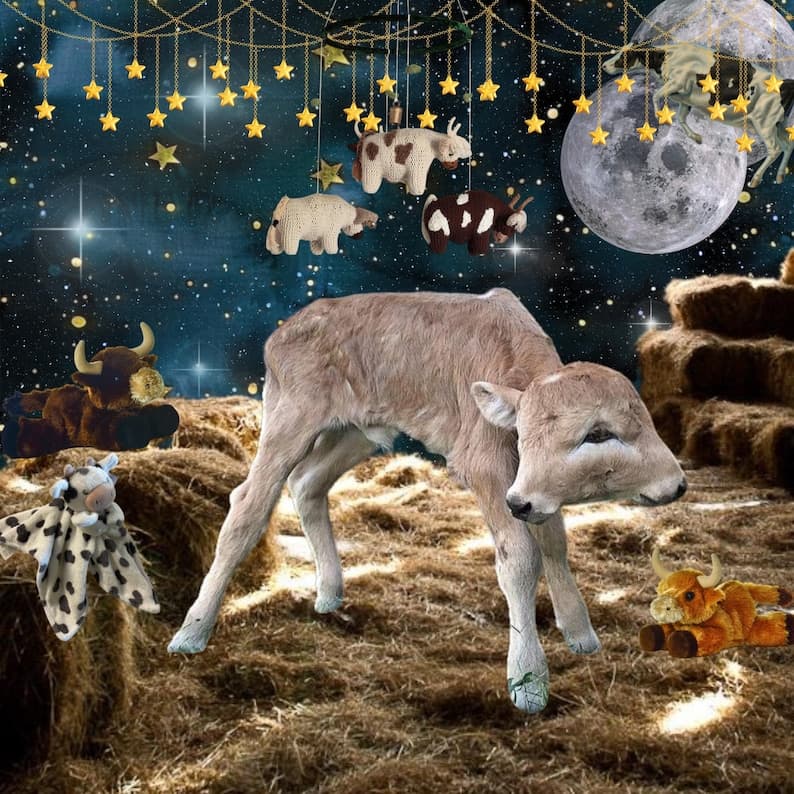 Mooncalf Perfume Bottle