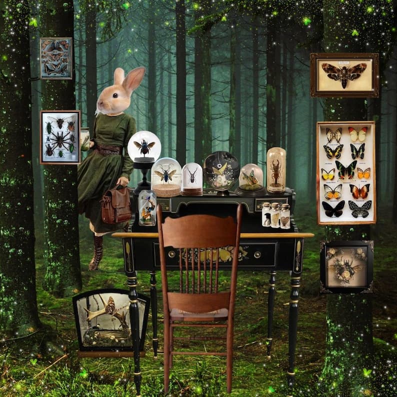 The Bug Collector by Pierrot Perfumery