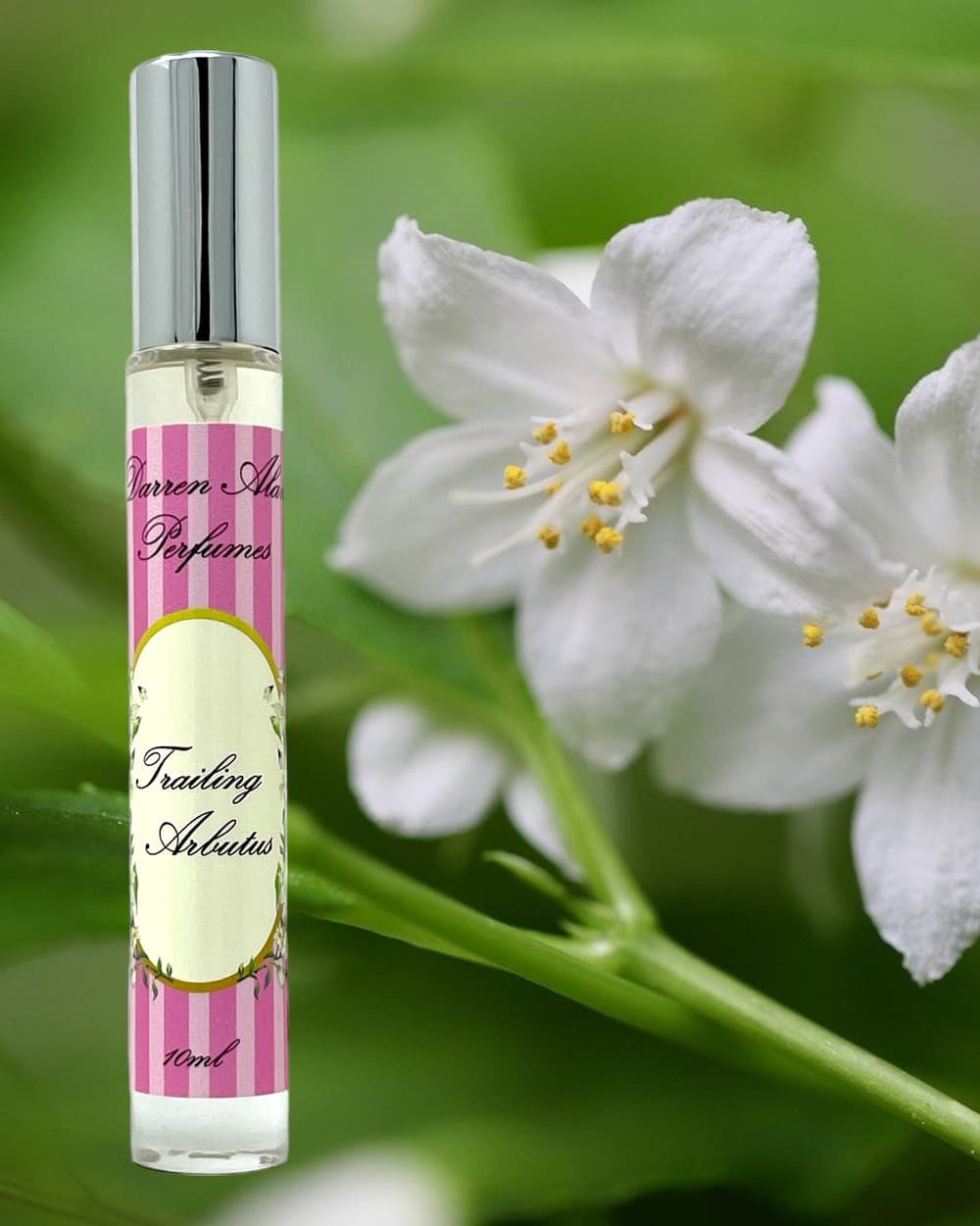 Trailing Arbutus - Darren Alan Perfumes by Darren Alan Perfumes