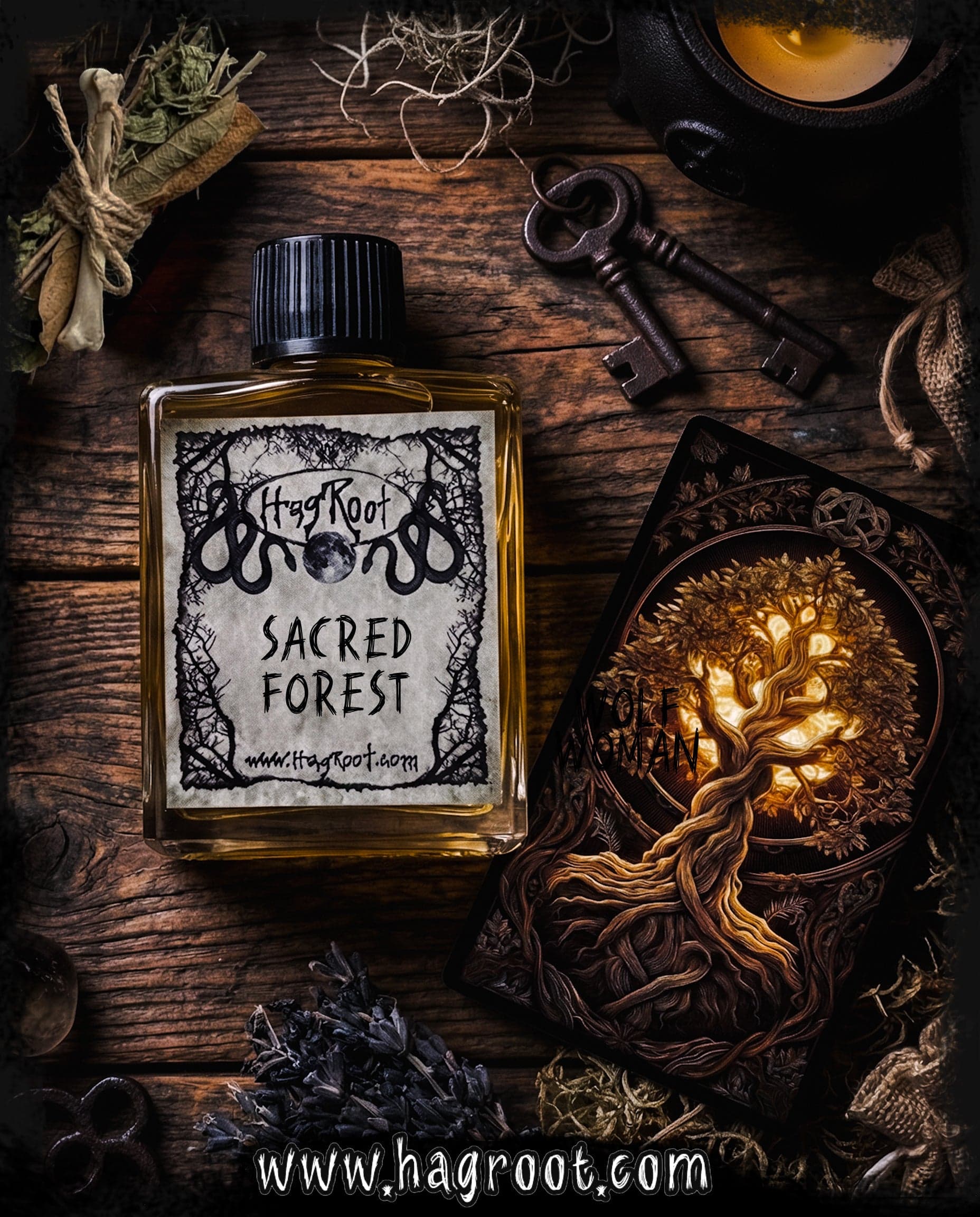 Sacred Forest by Hagroot