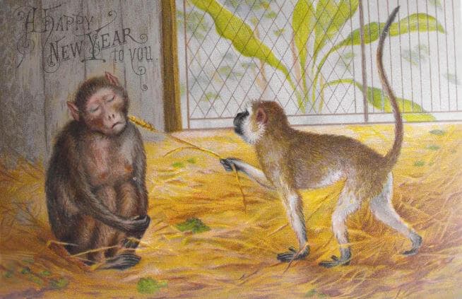 New Year, New Monkey Business by Black Phoenix Alchemy Lab