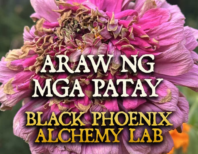 Araw Ng Mga Patay by Black Phoenix Alchemy Lab