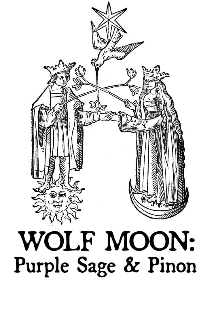 Wolf Moon: Purple Sage & Pinon Hair Gloss by Black Phoenix Alchemy Lab