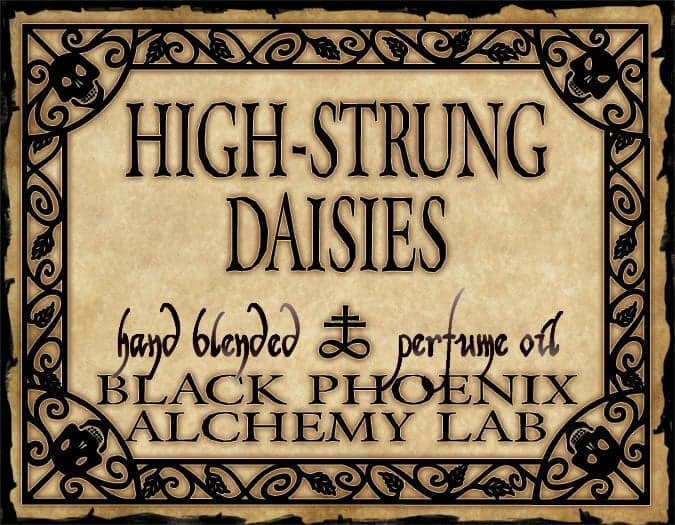 High-strung Daisies by Black Phoenix Alchemy Lab