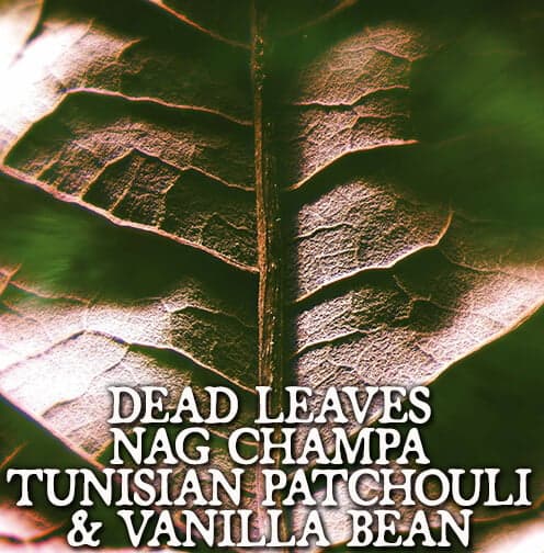Dead Leaves, Nag Champa, Tunisian Patchouli, and Vanilla Bean Hair Gloss Perfume Bottle
