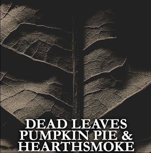 Dead Leaves, Pumpkin Pie, and Hearthsmoke Atmosphere Perfume Bottle