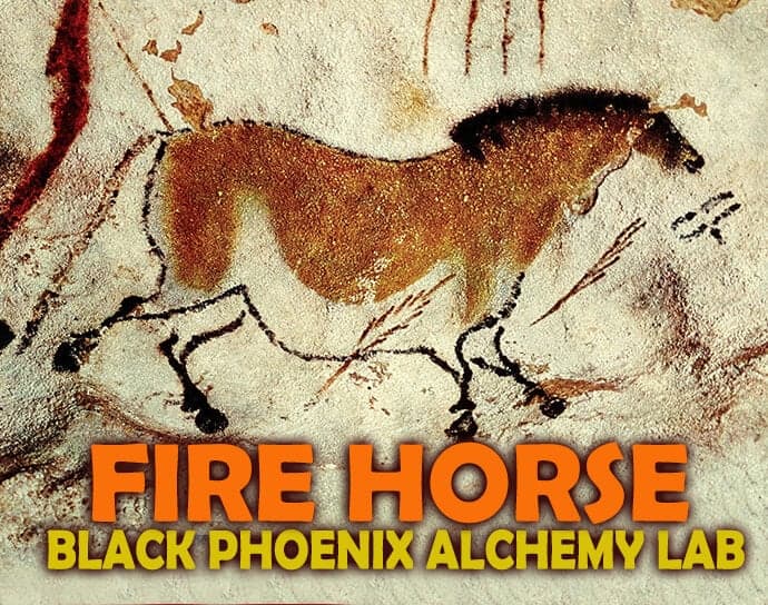 Fire Horse by Black Phoenix Alchemy Lab