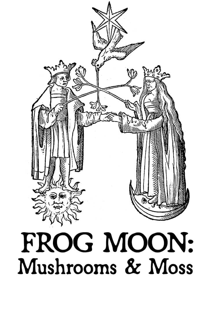 Frog Moon: Mushrooms and Moss Hair Gloss by Black Phoenix Alchemy Lab