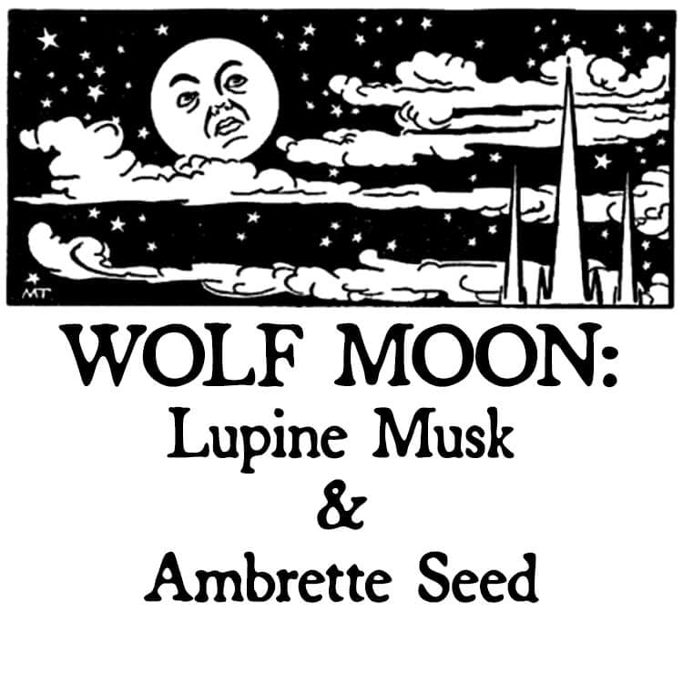 Wolf Moon: Lupine Musk & Ambrette Seed Hair Gloss by Black Phoenix Alchemy Lab
