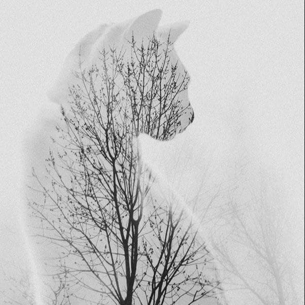 Ghost Kitty Perfume Bottle
