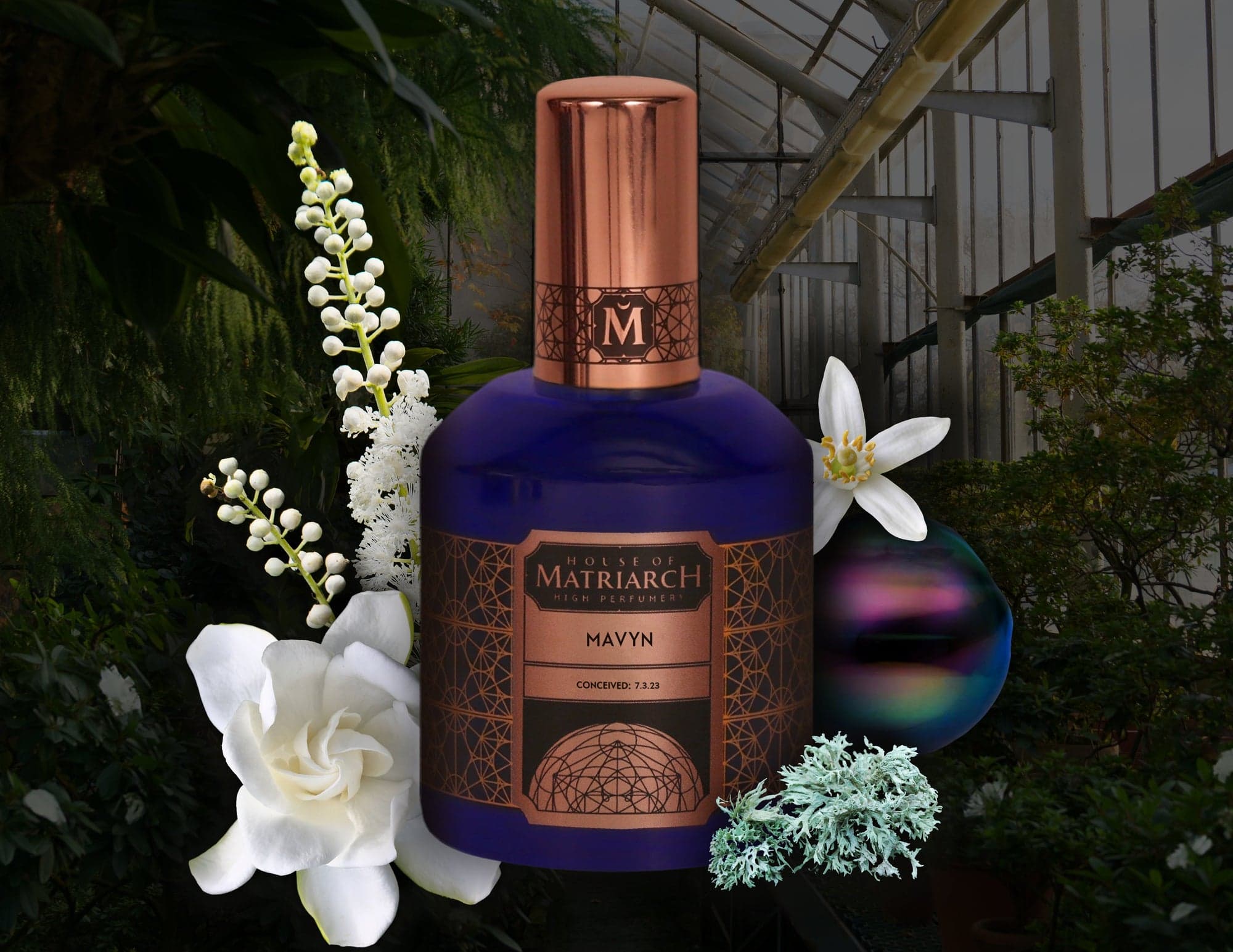 Mavyn by House of Matriarch