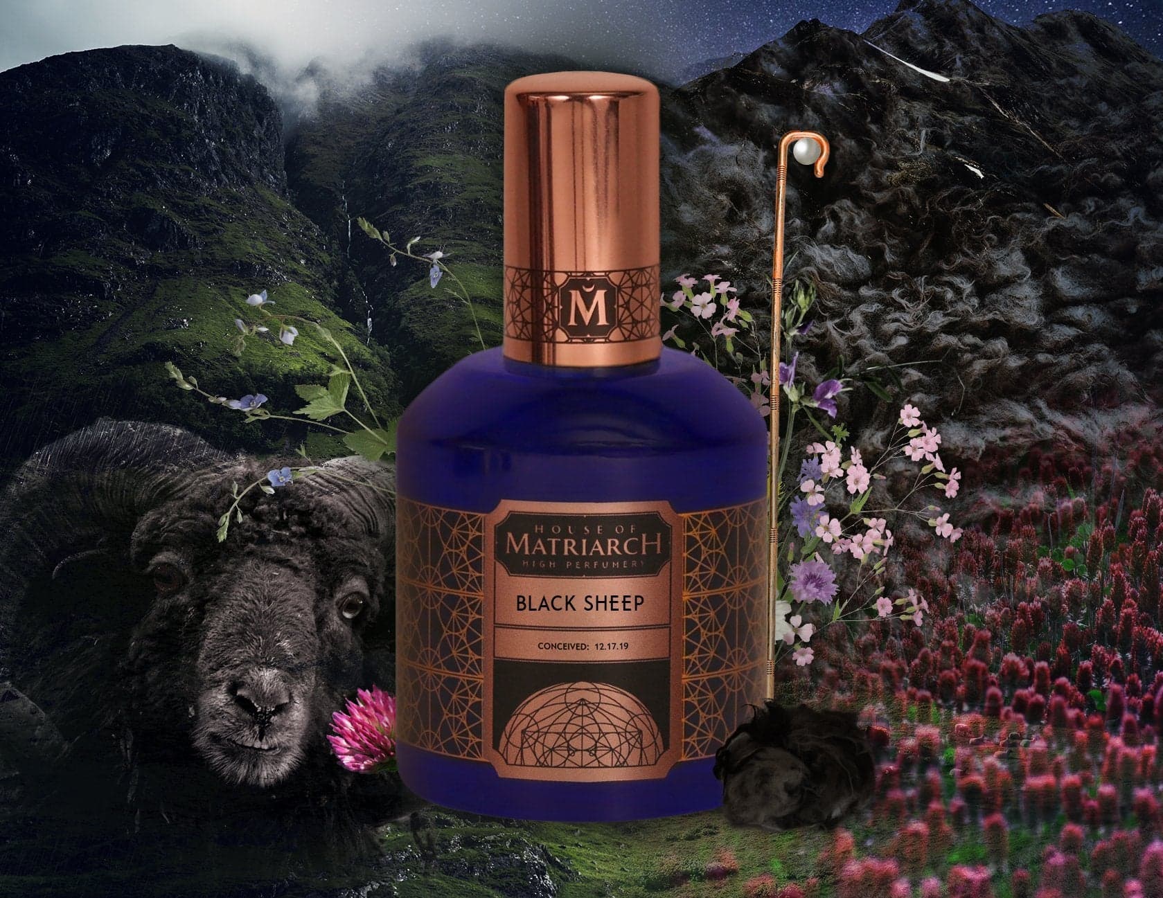 Black Sheep by House of Matriarch