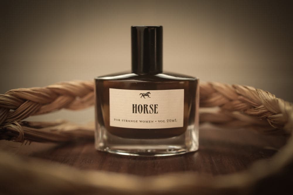 Horse by For Strange Women