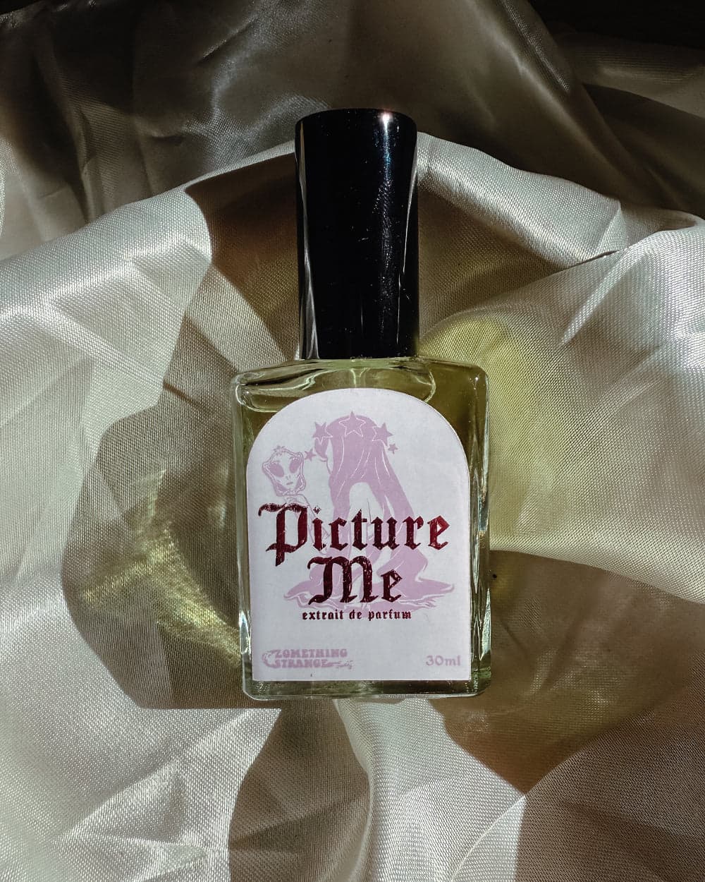 Picture Me by Zomething Strange