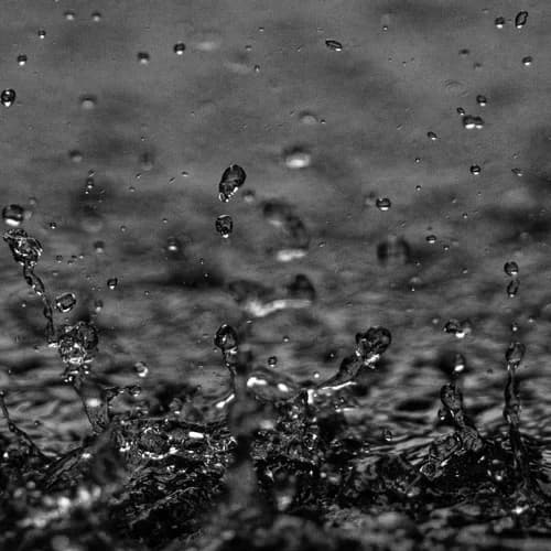 Petrichor - The Strange South by The Strange South
