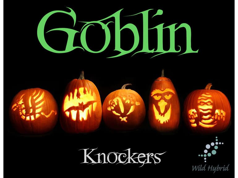 Goblin - Wild Hybrid by Wild Hybrid