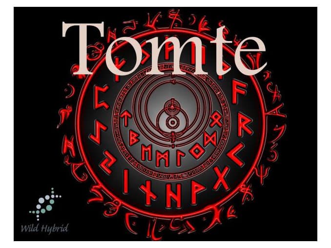 Tomte by Wild Hybrid