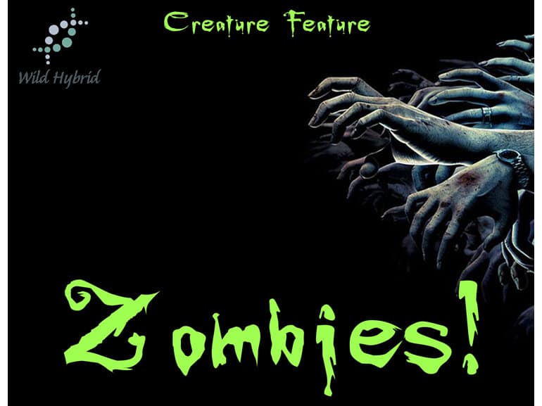 Zombies! by Wild Hybrid