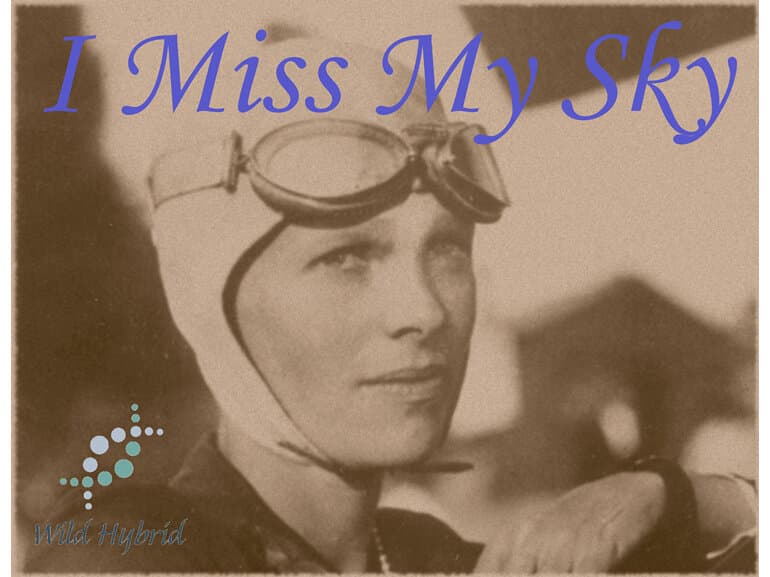 I Miss My Sky by Wild Hybrid