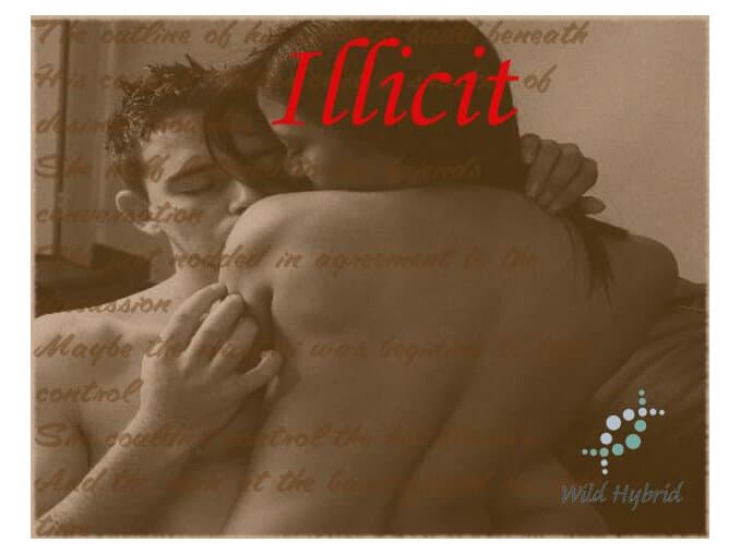 Illicit - Wild Hybrid by Wild Hybrid